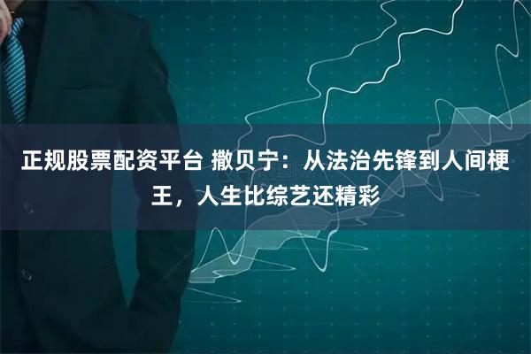 正规股票配资平台 撒贝宁：从法治先锋到人间梗王，人生比综艺还精彩